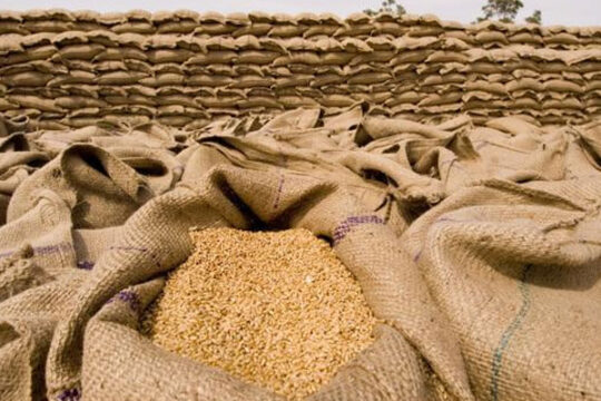 گندم کے نرخوں میں اتار چڑھاؤ، مختلف منڈیوں میں الگ الگ رجحان