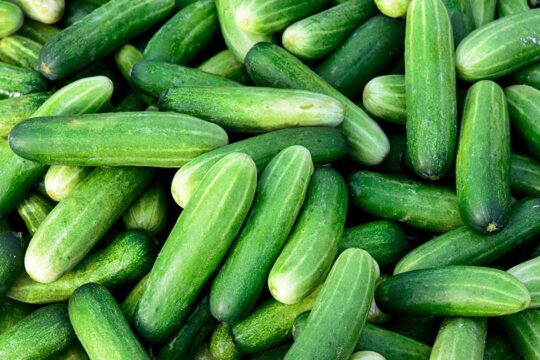 کھیرا کی قیمتوں میں اتار چڑھاؤ، ایک ہفتے میں 100 سے 200 روپے فی کلو تک اُتار اور چڑھاؤ