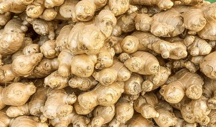 سبزی منڈی میں ادرک کی قیمتوں میں اتار چڑھاؤ کا رجحان