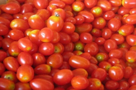 ٹماٹر کے نرخوں میں اُتار چڑھاؤ