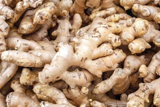 آج 3 اکتوبر 2025 بروز جمعہ کراچی سبزی منڈی میں تھائی لینڈ ادرک نرخ کیا رہے؟