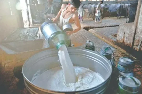 کیا کراچی میں کیمیکل ملا دودھ بیچنے والوں کے خلاف کریک ڈاؤن تیز ہو گیا؟