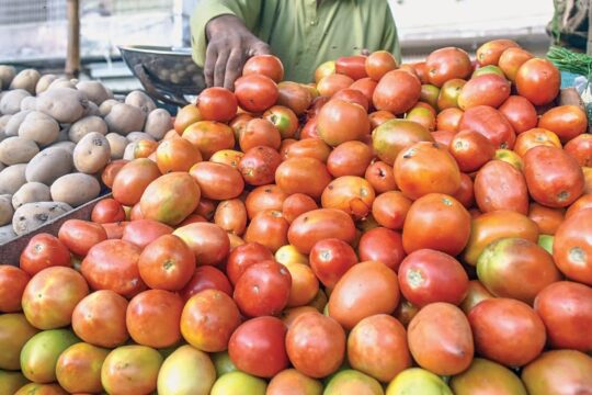 ٹماٹر کی قیمتوں میں کمی ریکارڈ: