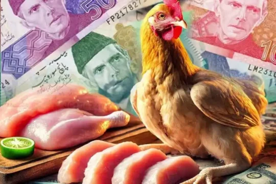 آج 11 اکتوبر 2025 بروز ہفتہ پولٹری مصنوعات کے نرخ