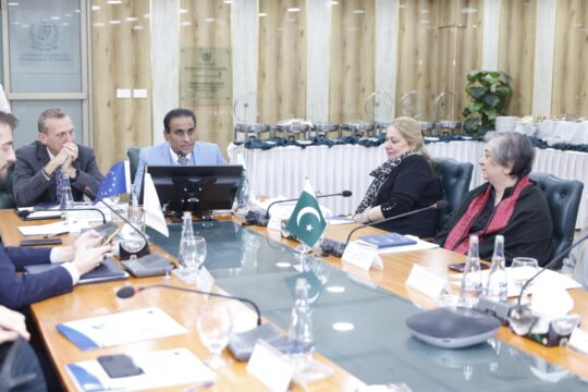 پنجاب میں جینڈر بیسڈ وائلنس کیسز میں تشویشناک اضافہ، سینیٹ کمیٹی کا اظہارِ تشویش