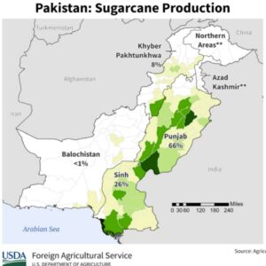 رحیم یار خان میں کماد کی کاشت کپاس پر کیسے حاوی ہوگئی ؟